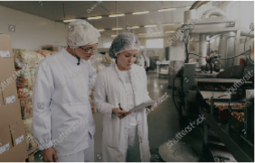 報告書作成サポートの様子